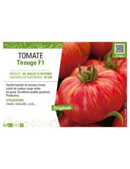TOMATE TIROUGE F1