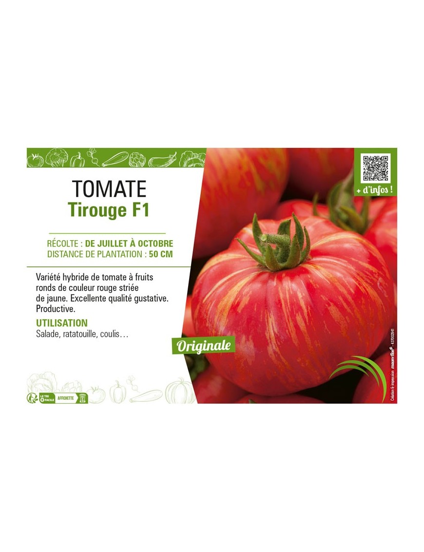 TOMATE TIROUGE F1