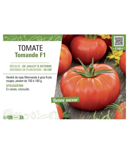TOMATE TOMANDE F1