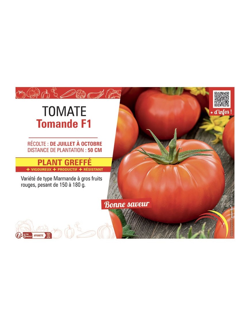 TOMATE TOMANDE F1 Plant greffé