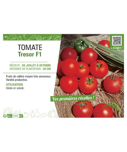 TOMATE TRESOR F1