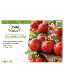 TOMATE TRIBECA F1