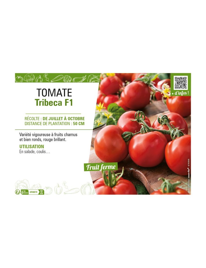 TOMATE TRIBECA F1