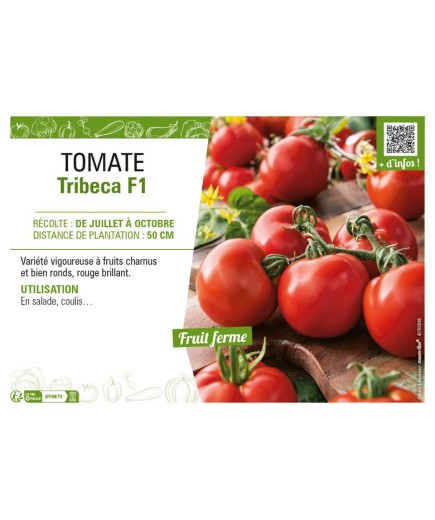 TOMATE TRIBECA F1
