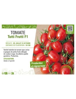 TOMATE TUTTI FRUTTI F1