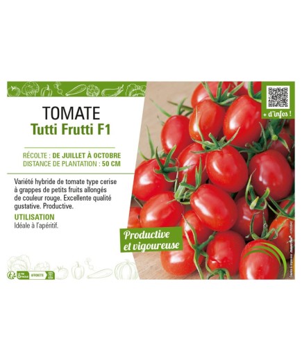 TOMATE TUTTI FRUTTI F1
