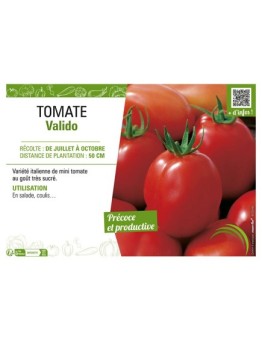 TOMATE VALIDO
