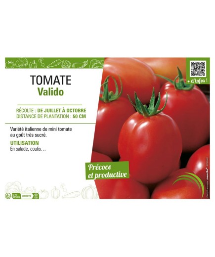 TOMATE VALIDO