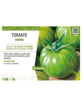 TOMATE VERTE