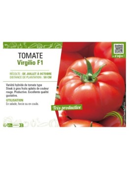 TOMATE VIRGILIO F1