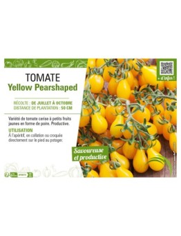TOMATE YELLOW PEARSHAPED