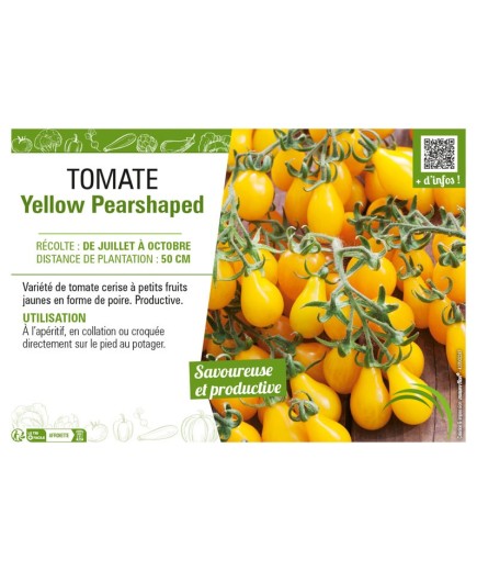 TOMATE YELLOW PEARSHAPED