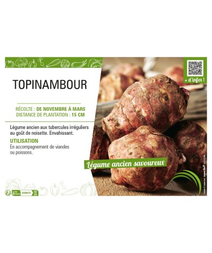TOPINAMBOUR