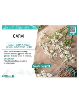 CARVI