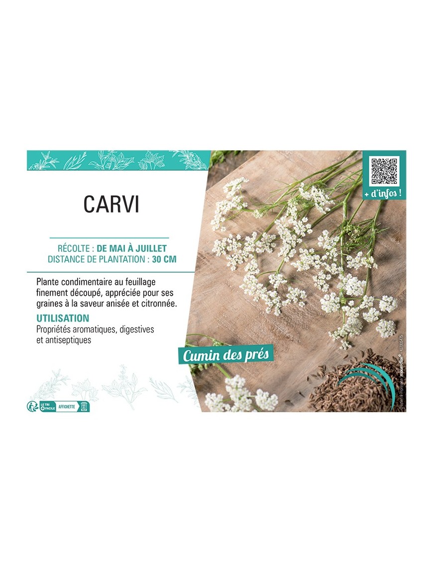 CARVI