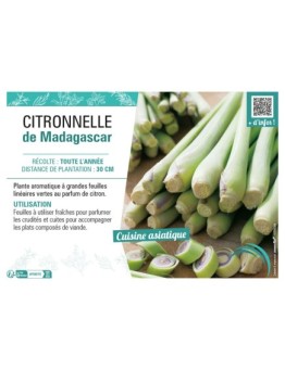 CITRONNELLE DE MADAGASCAR