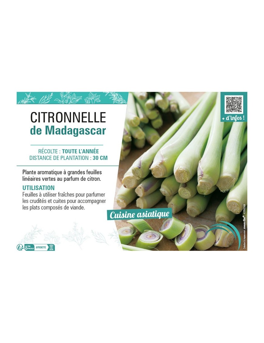 CITRONNELLE DE MADAGASCAR