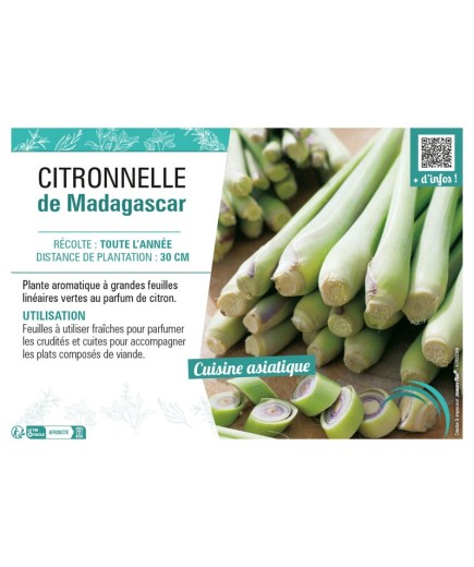 CITRONNELLE DE MADAGASCAR