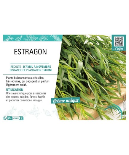 ESTRAGON