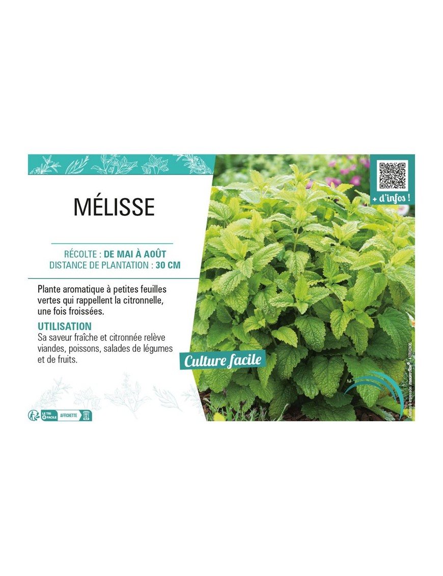 MÉLISSE