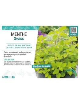 MENTHE SWISS