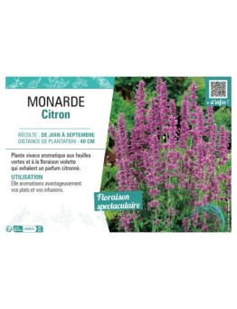 MONARDE CITRON