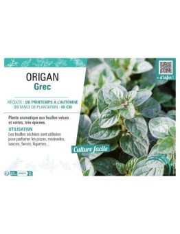 ORIGAN GREC