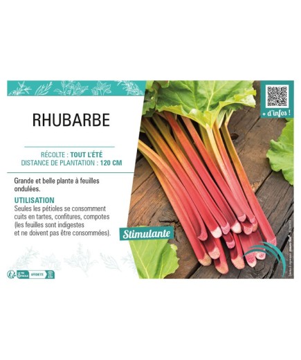 RHUBARBE