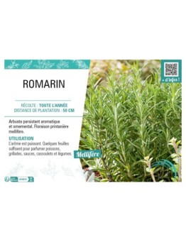 ROMARIN