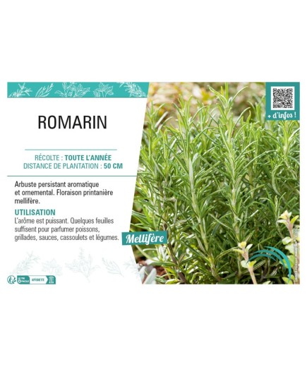 ROMARIN