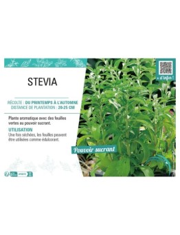 STEVIA