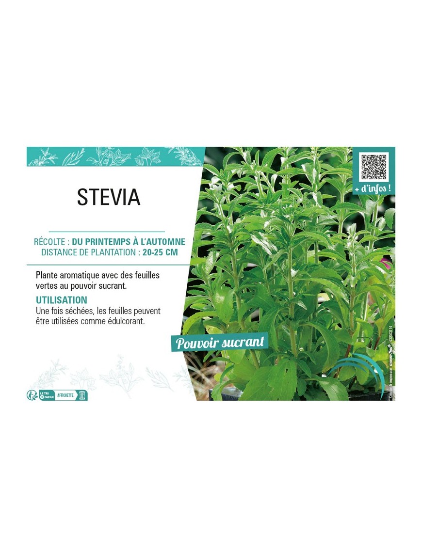 STEVIA