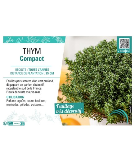 THYM COMPACT