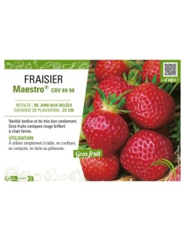 FRAISIER MAESTRO® COV 89 98