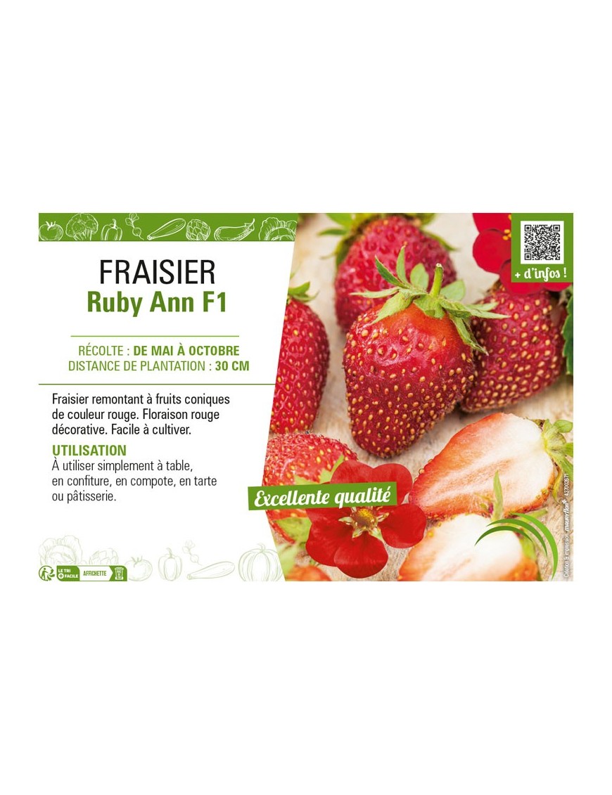 FRAISIER RUBY ANN F1
