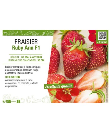 FRAISIER RUBY ANN F1