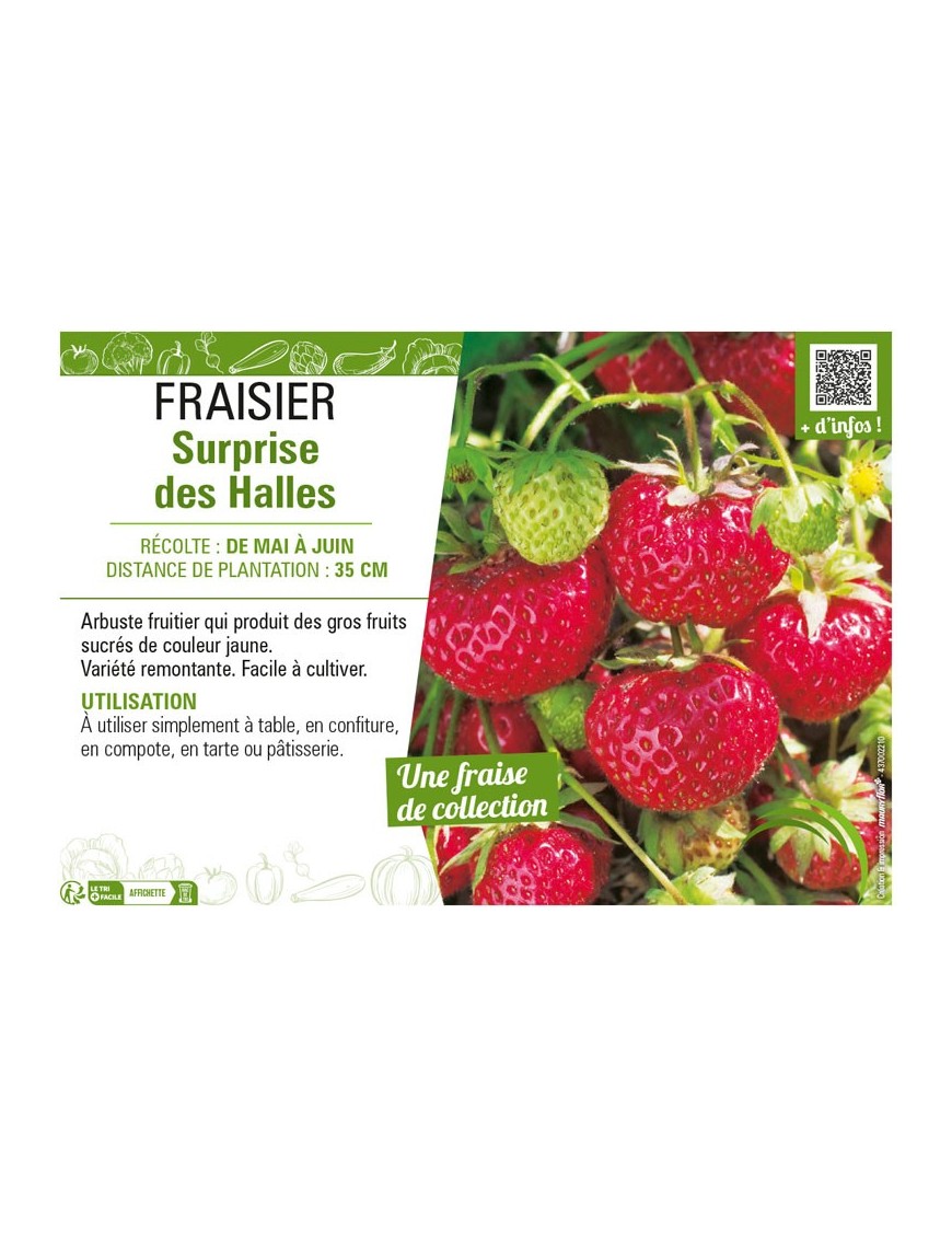 FRAISIER SURPRISE DES HALLES