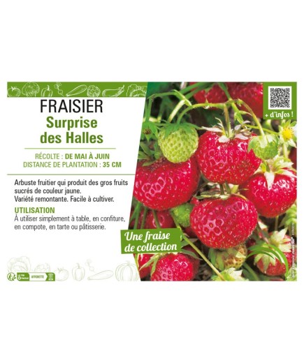 FRAISIER SURPRISE DES HALLES