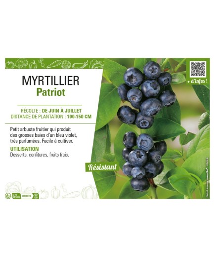 MYRTILLIER PATRIOT