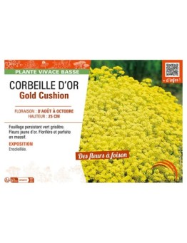 ALYSSE Gold Cushion (Corbeille d'or)