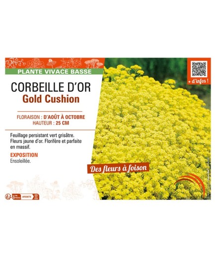 ALYSSE Gold Cushion (Corbeille d'or)