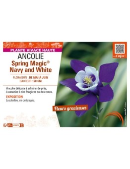 ANCOLIE SPRING MAGIC® NAVY AND WHITE