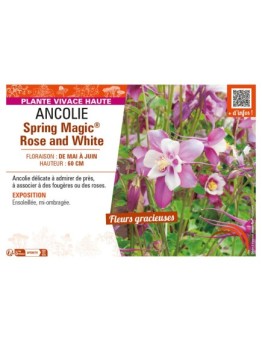 ANCOLIE SPRING MAGIC® ROSE AND WHITE
