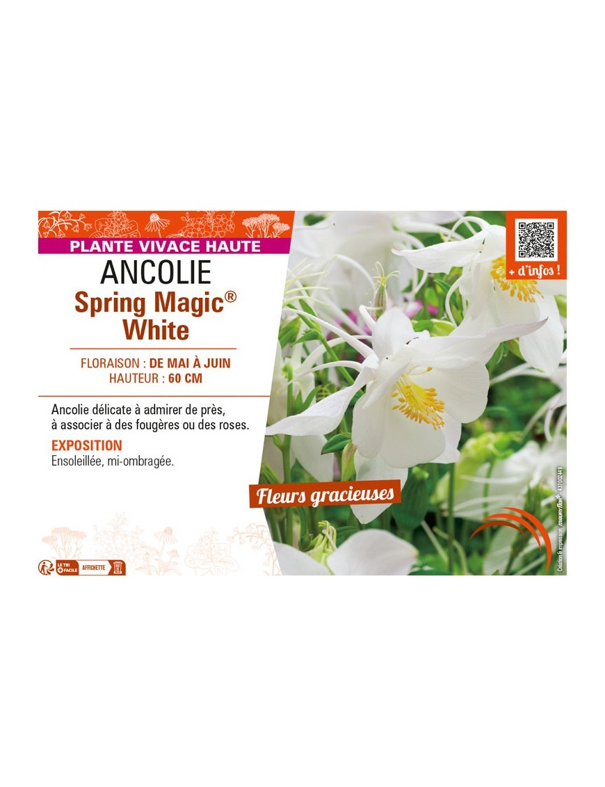 ANCOLIE SPRING MAGIC® WHITE