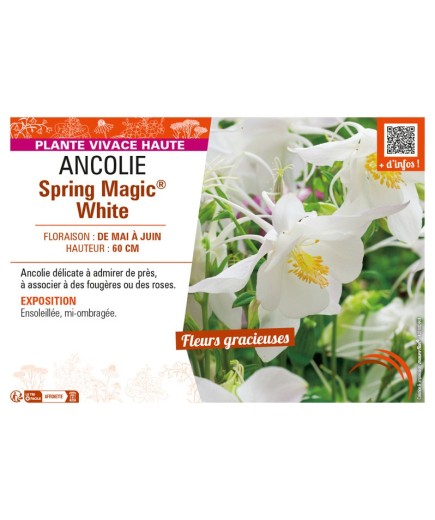 ANCOLIE SPRING MAGIC® WHITE