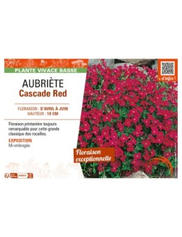 AUBRIÈTE CASCADE RED