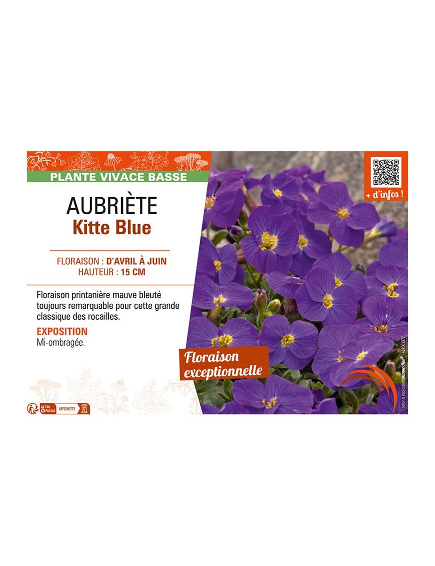 AUBRIÈTE KITTE BLUE