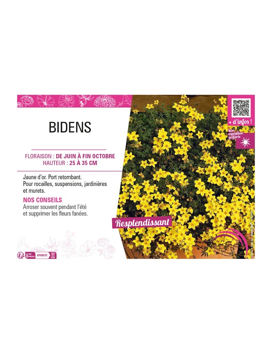 BIDENS