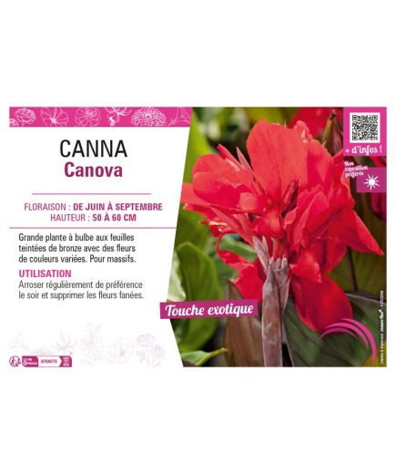 CANNA CANNOVA