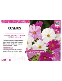 COSMOS (varié)